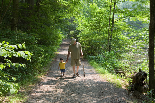 Grandfather and grandson walking along forest path