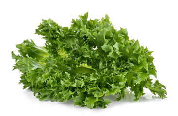 fresh green lettuce leaves isolated on white