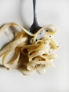 Fettuccine pasta on fork