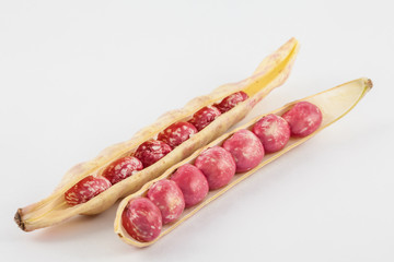 Unripe common beans (Phaseolus vulgaris) isolated in white background