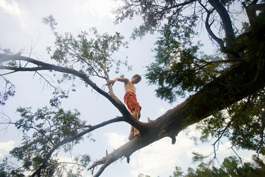 Boy walking along branch of fallen tree