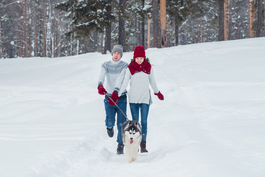 Young couple with a Husky dog walking in winter park, man and woman playing and having fun with dog.