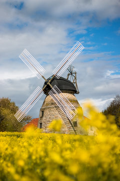 Windmühle im Rapsfeld