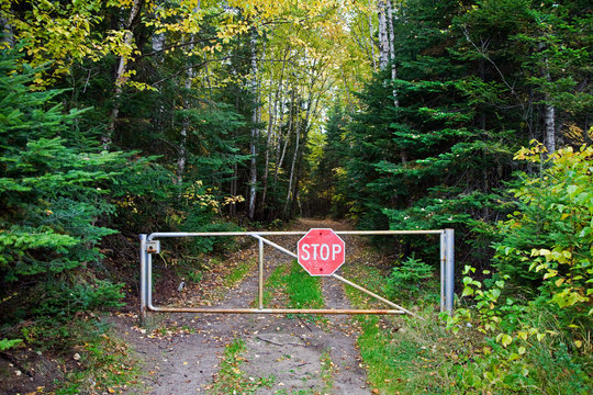 Stop sign on gate leading to woods