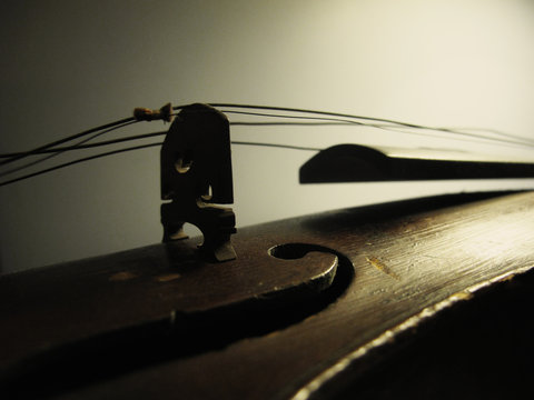 Detail of old violin