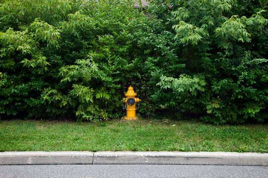 Fire hydrant on verge