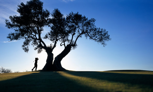 Person playing golf under tree