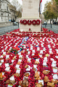 Red poppies wreaths in front of monument, United Kingdom, London