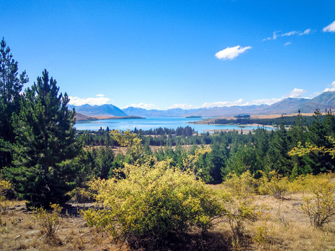 Idyllic lake Tekapo, Canterbury Region, New Zealand - Stock Image