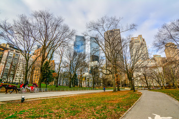 Panorama of the city of new york