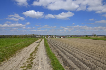 Fototapeta na wymiar A country road among the fields with a view to a disant village, blue sky with scattered clouds in the background
