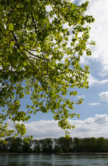 rheinufer bei worms-ilbersheim