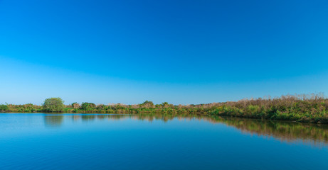 Picturesque forest and the river