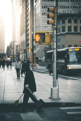 Daytime Scene in Manhattan - New York