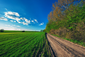 Green Field and Beautiful Sunset