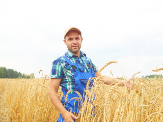 Farmer in a plaid shirt controlled his field.. Shows the wheat harvest.