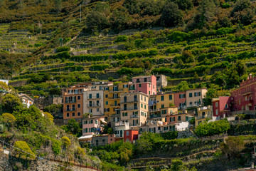 Fototapeta na wymiar Selling colorful lands of five lands in italy in the lugura coast