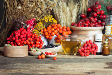 Medicinal plants and herbs composition: Dog rose, bunch branch Rosehips, types Rosa canina hips, essential oil. bunch,Herbal  Tea with rosehip,  dried flowers of linden and chamomile - pharmacy  