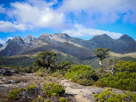 Te Anau, Mount Luxmore, Fiordland, New Zealand - Stock Photo