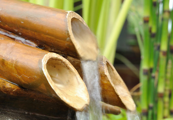 fontaine en bambou