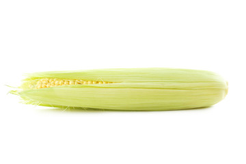 Sweet corn isolated on a white