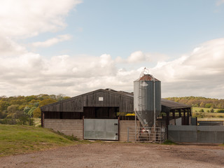 Fototapeta na wymiar farm in the country with barn and metal silo