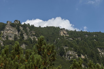 Sunlit mountain top overgrown with coniferous forest and glade on the ecological walk toward Maliovitza peak in Rila mountain, Bulgaria 