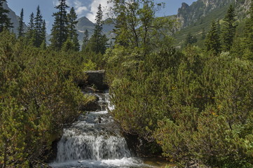 View of stream, grass, wild flower and waterfall in Rila mountain toward Maliovitza peak, Bulgaria  