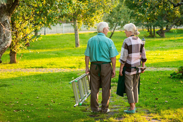 Senior gardeners couple, back view. Man and woman standing outdoor. Gardening tips and ideas.