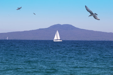 Rangitoto Island from water level