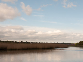 cloudy and blue sky over a lake with reeds serene