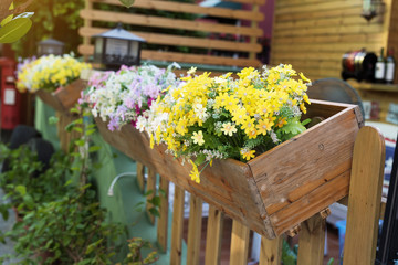 colorful flower Pots with fence