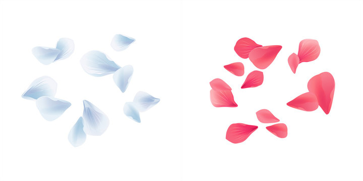 Set Blue White and Pink Red flying petals isolated on white background. Sakura Roses petals. Vector AI 10, cmyk 