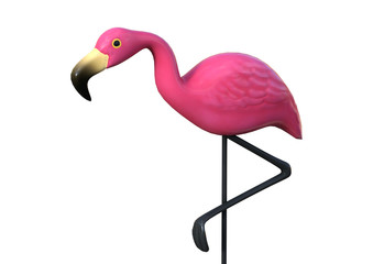 3D Rendering Pink Flamingo on White © photosvac