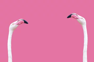 Rolgordijnen Flamingo een flamingo hoofd