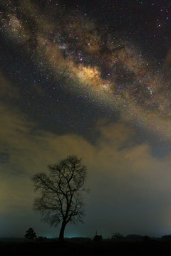 The milky way landscape in Thailand