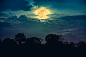 Landscape of trees against night sky with full moon behind clouds over tranquil.