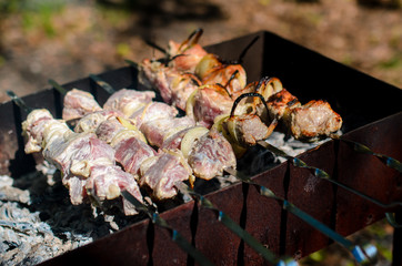 Cooking barbecue in nature.