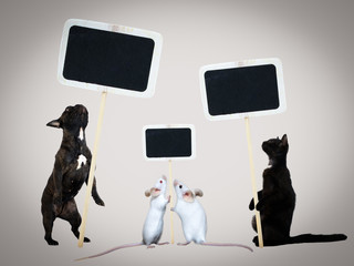 Cat, dog and mouse stand in funny poses and hold promotional signs for labeling
