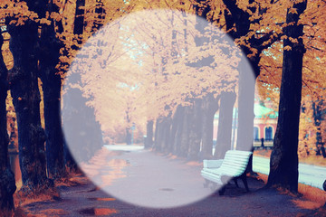 autumn park blurred background translucent frame for text