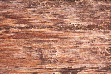 Naklejka premium Grunge, rustic wood texture