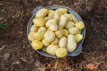 Top view peeled dirty potatoes in black cauldron ready for washing and cooking. Horizontal color photography.
