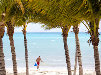 Vacation concept image. An image of palm trees on the beach. A man is walking with snorkeling gear on the beach out of focus. Copy space