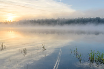 lake sunrise fog reflection forest