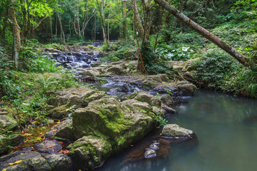 Beatiful of waterfall in national green forest background