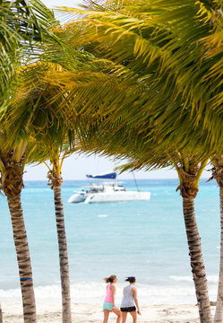 Vacation concept image. Image of palm trees on the beach. A yacht and people walking in the background out of focus. Focus point on the coconut trees.