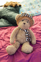 cute brown teddy bear on blanket