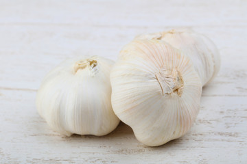 Garlic