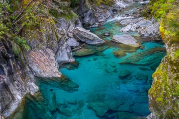 Foto op Plexiglas Blue River at Blue Pools track in the South Island of New Zealand. Blue pool track is a short walk from State Highway 6, Haast Pass © Puripat