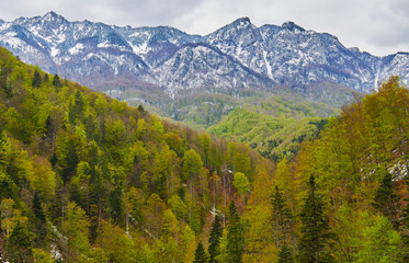 Alpine landscape in the spring